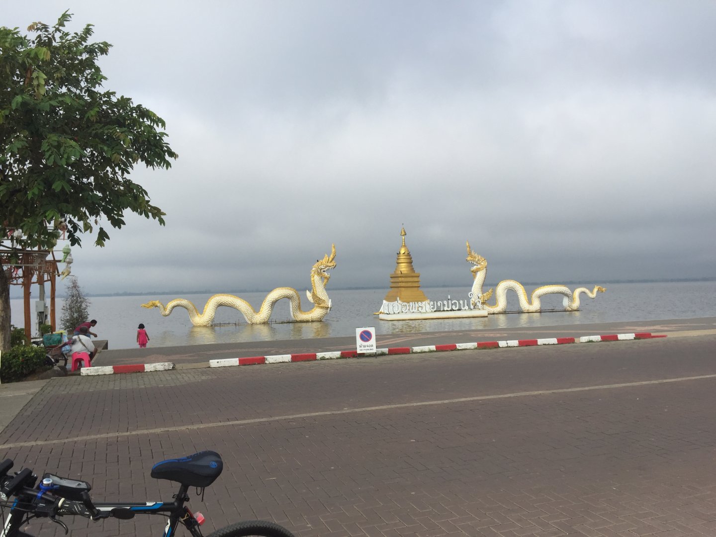 IMG_2263.jpeg