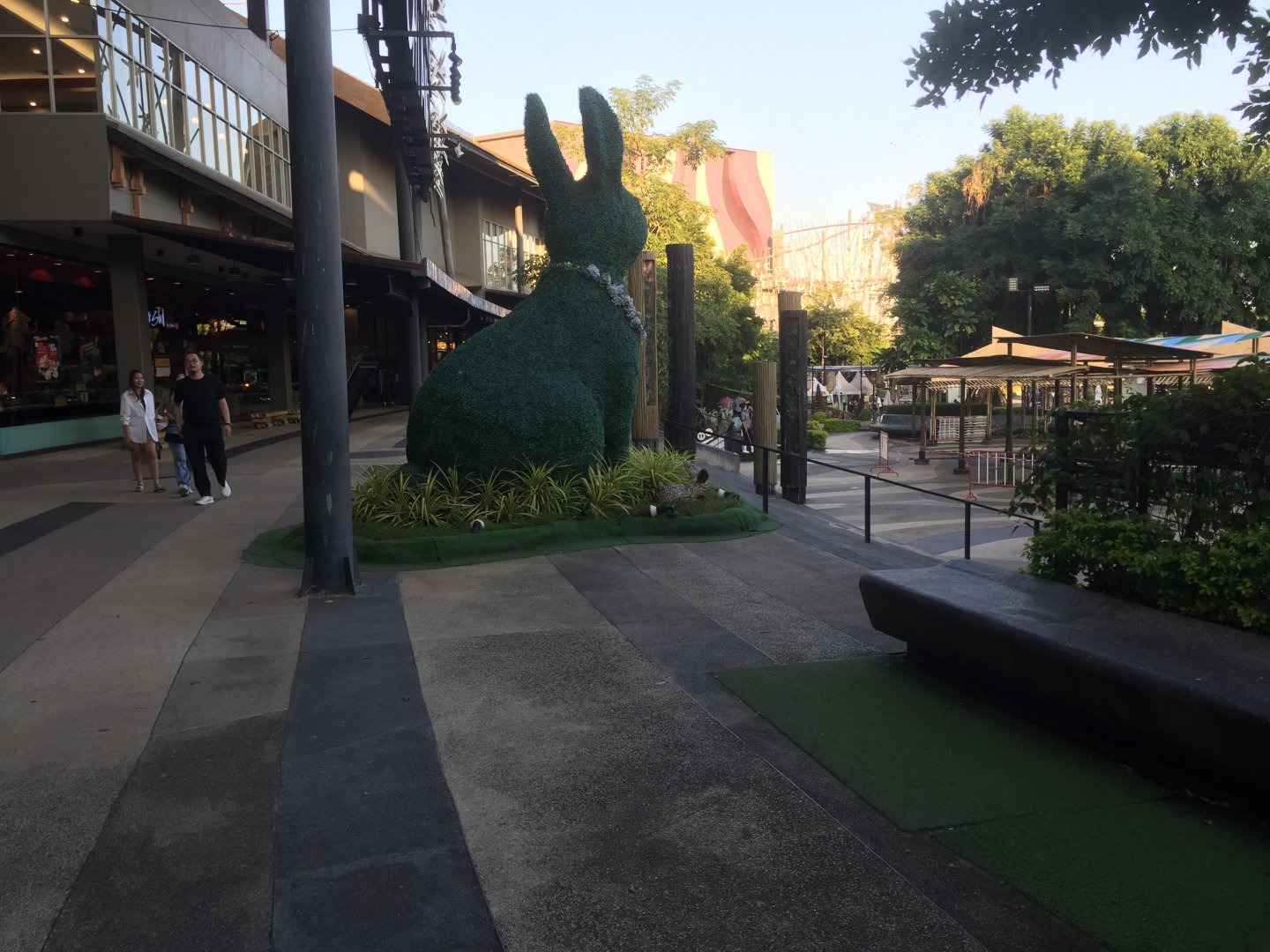 IMG_2269.jpeg