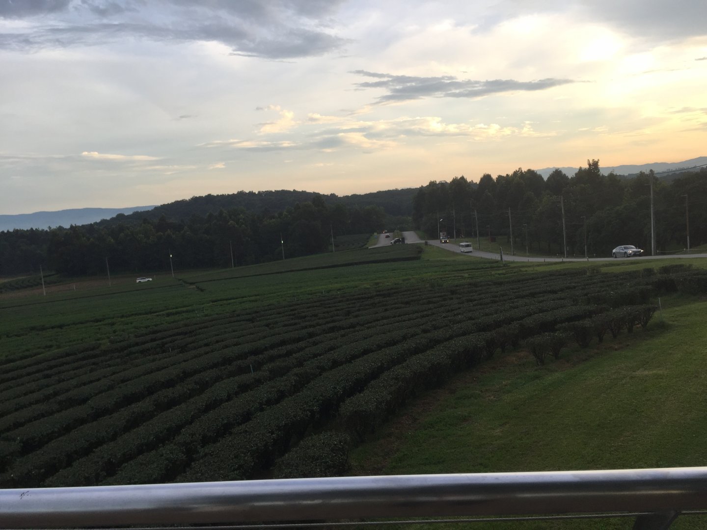 IMG_2272.jpeg