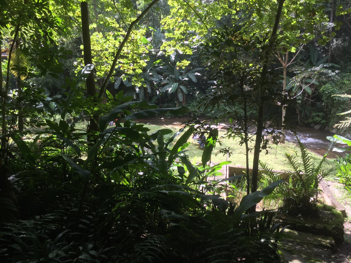 IMG_2321.jpeg