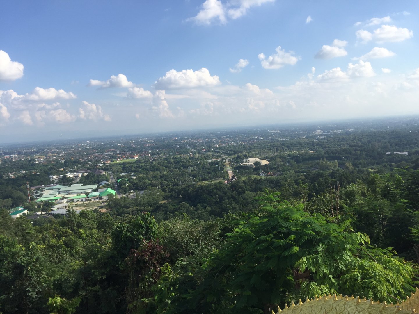 IMG_2329.jpeg