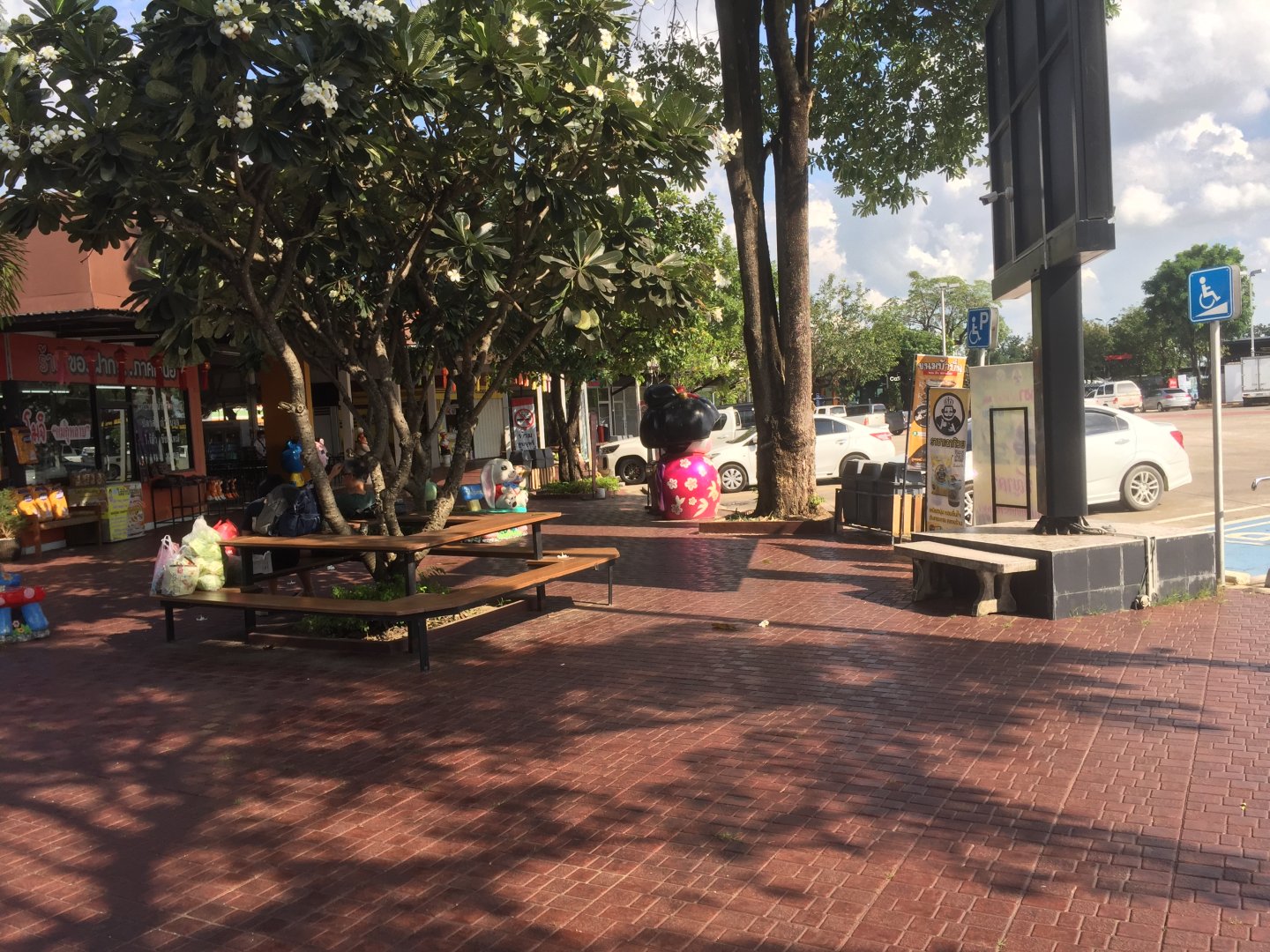 IMG_2335.jpeg