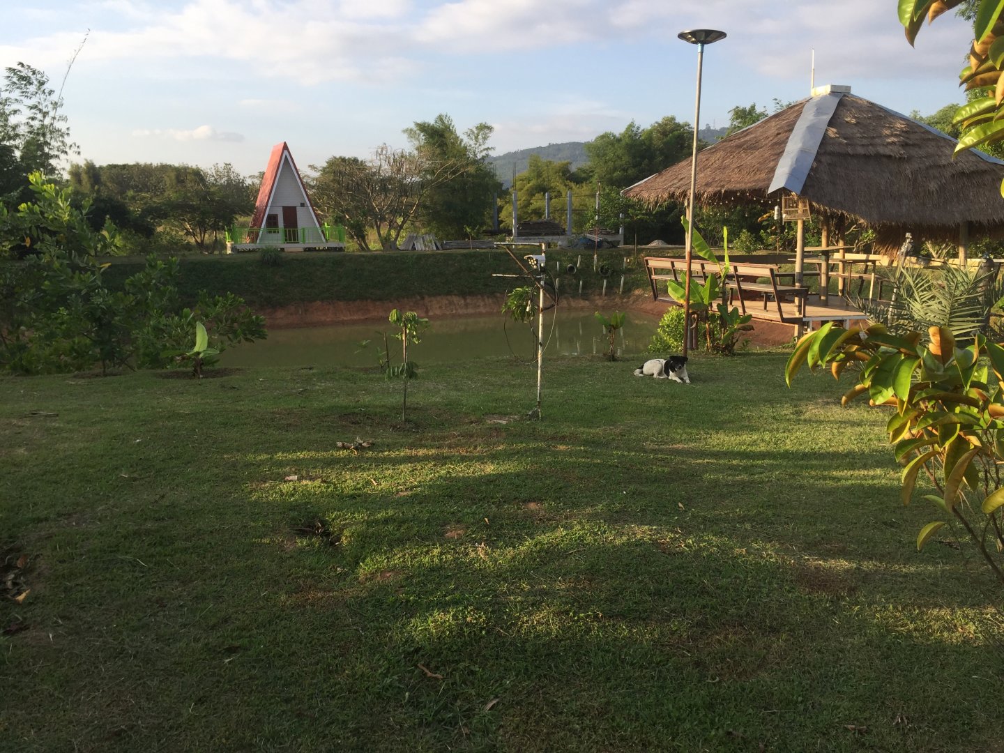 IMG_2341.jpeg