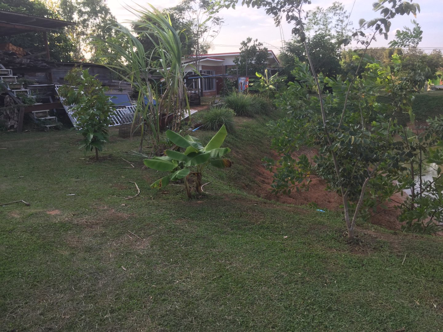 IMG_2343.jpeg