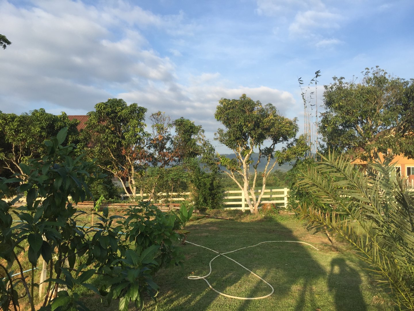 IMG_2344.jpeg