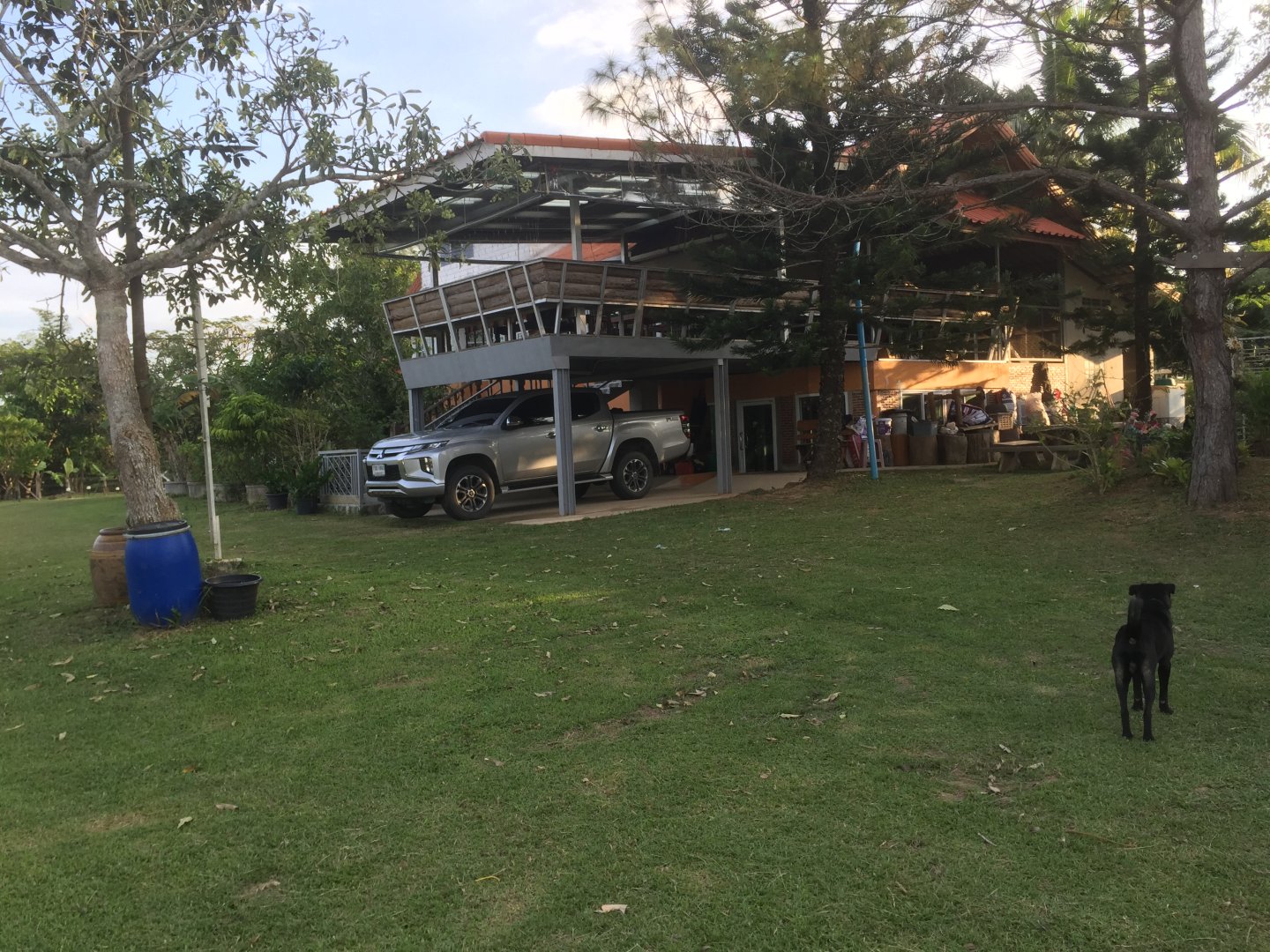 IMG_2347.jpeg