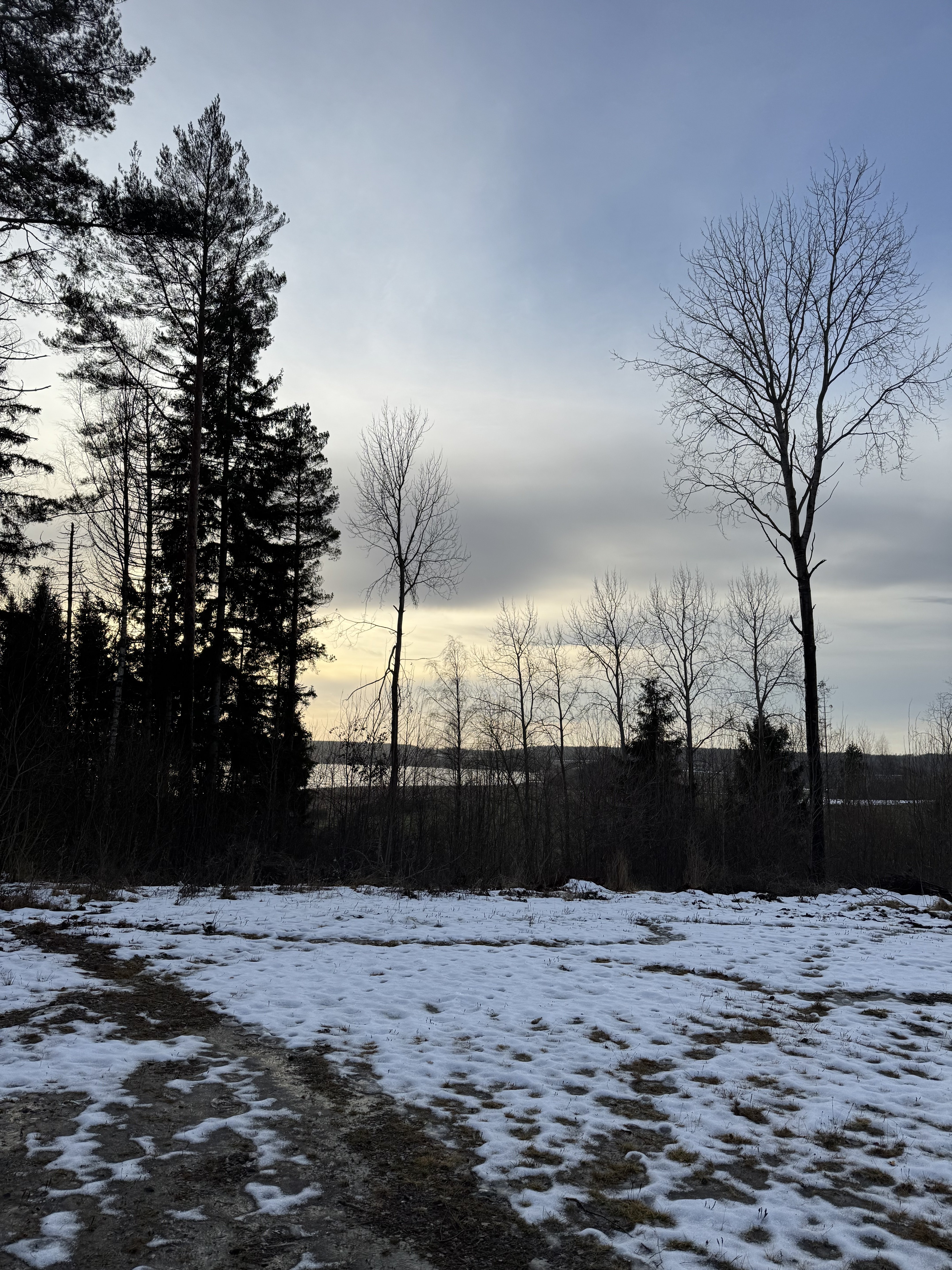 IMG_2357.jpeg