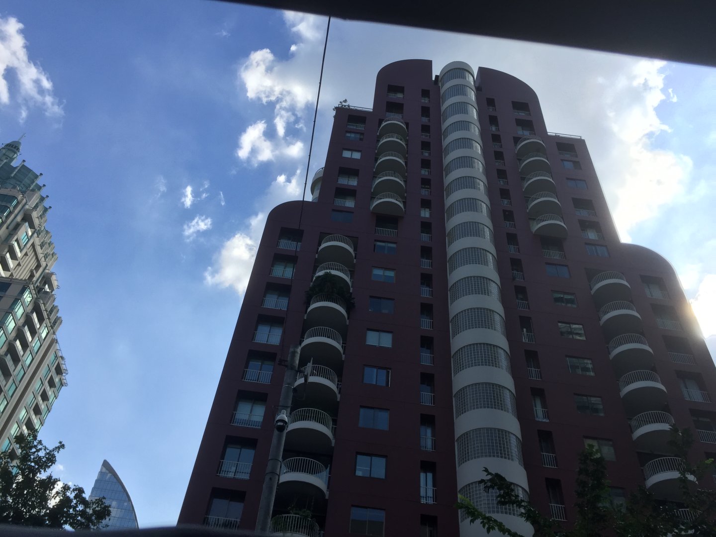 IMG_2381.jpeg