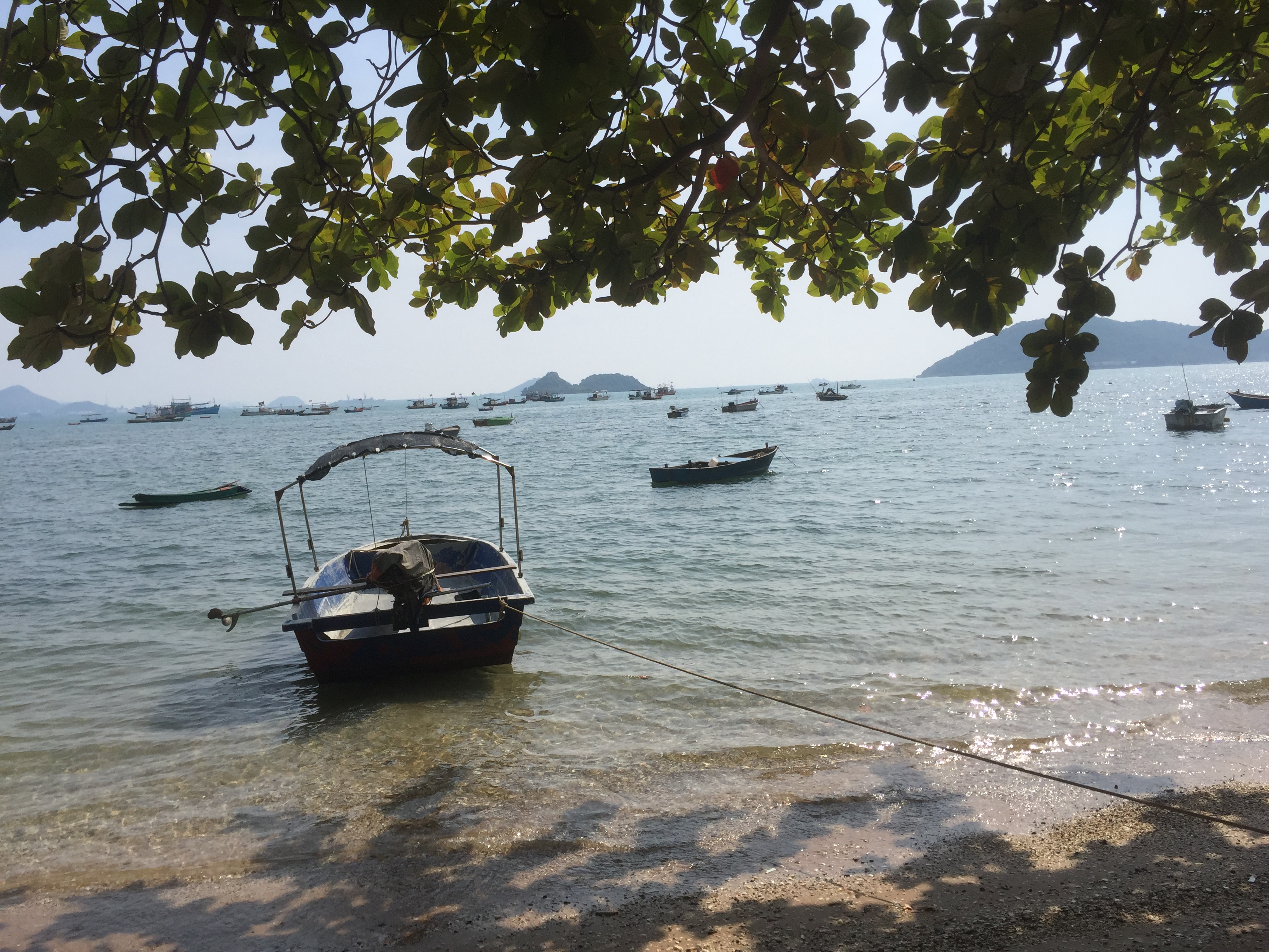 IMG_2404.jpeg