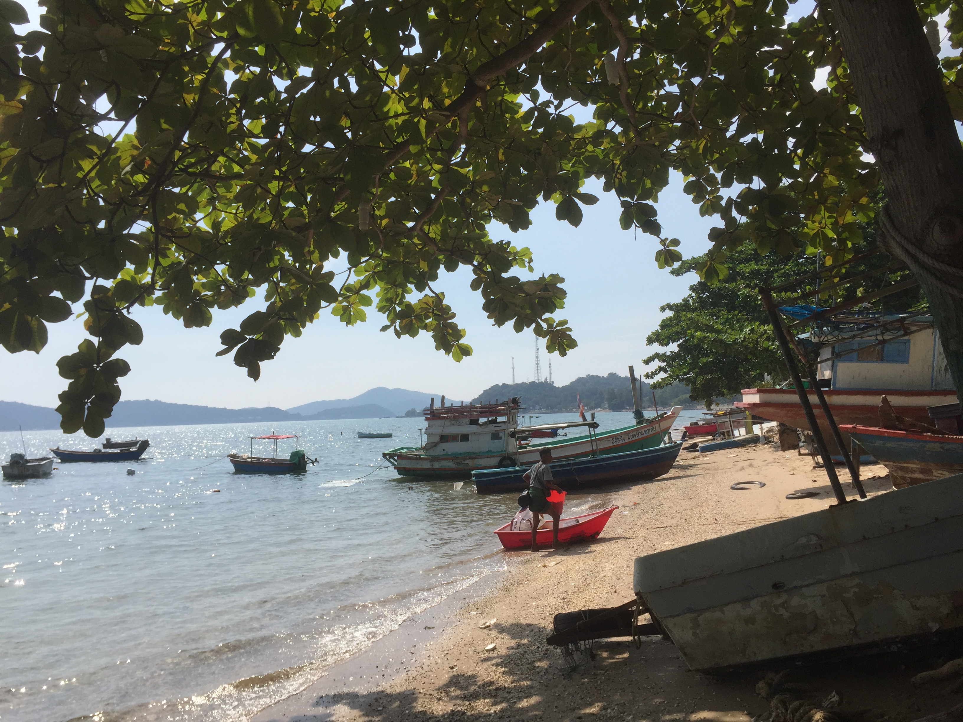 IMG_2405.jpeg