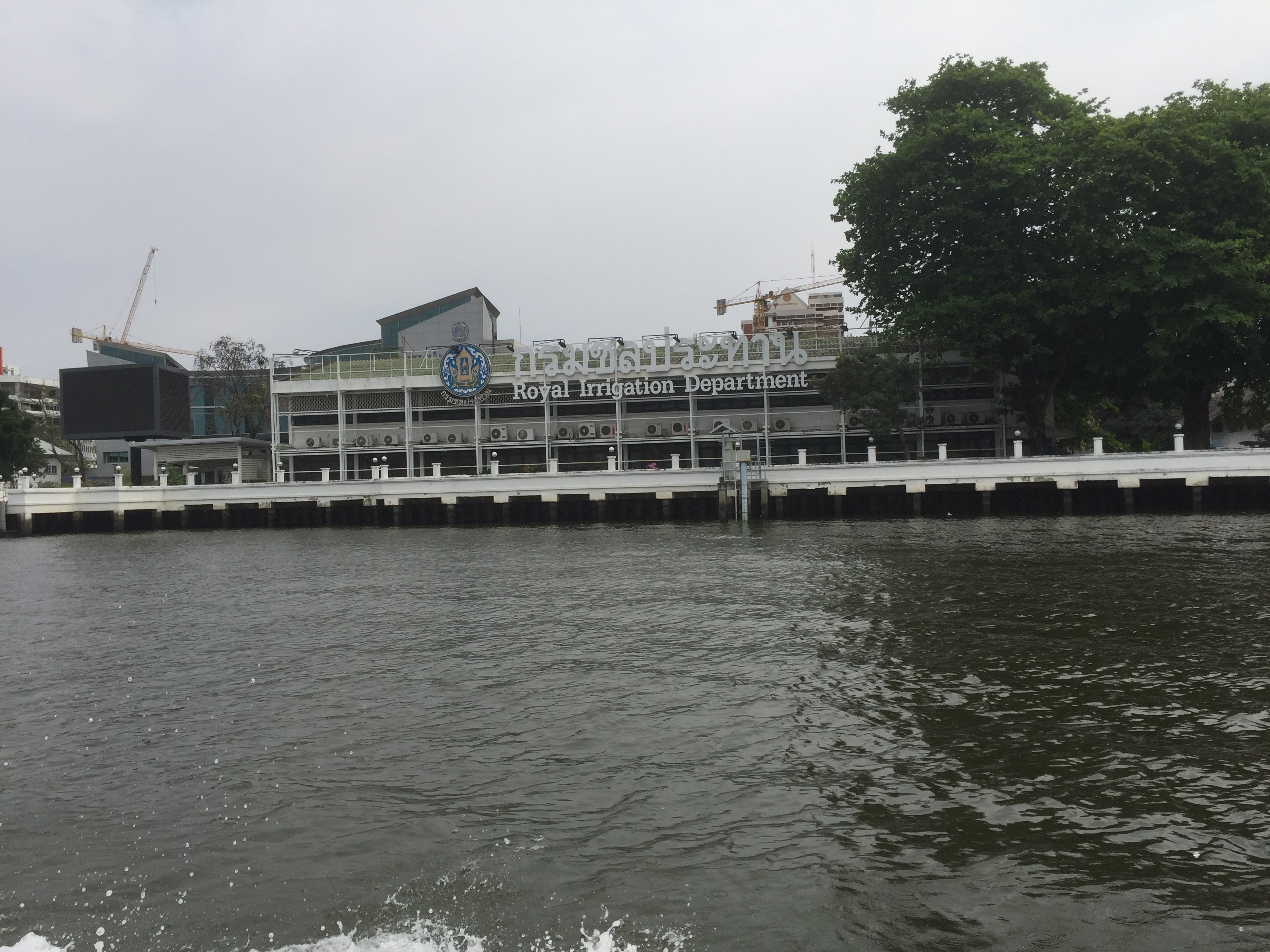 IMG_2526.jpeg