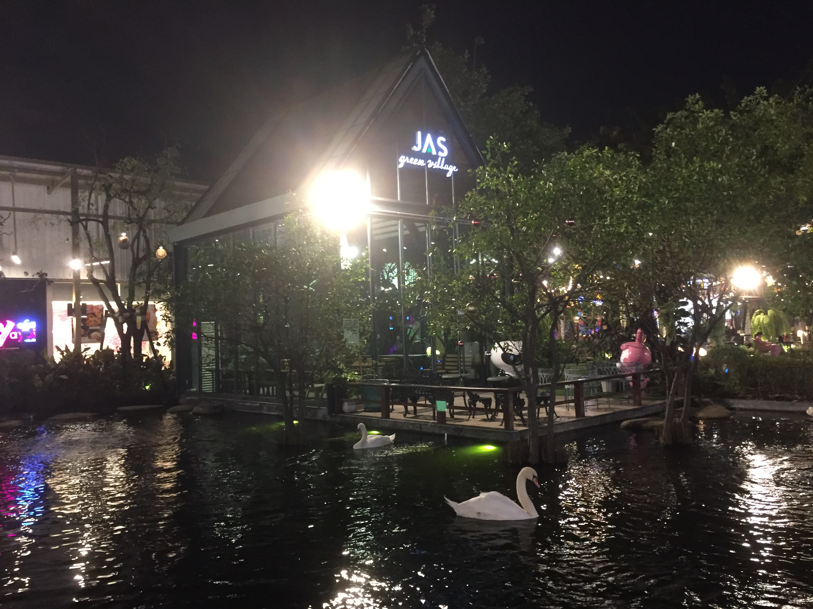 IMG_2534.jpeg
