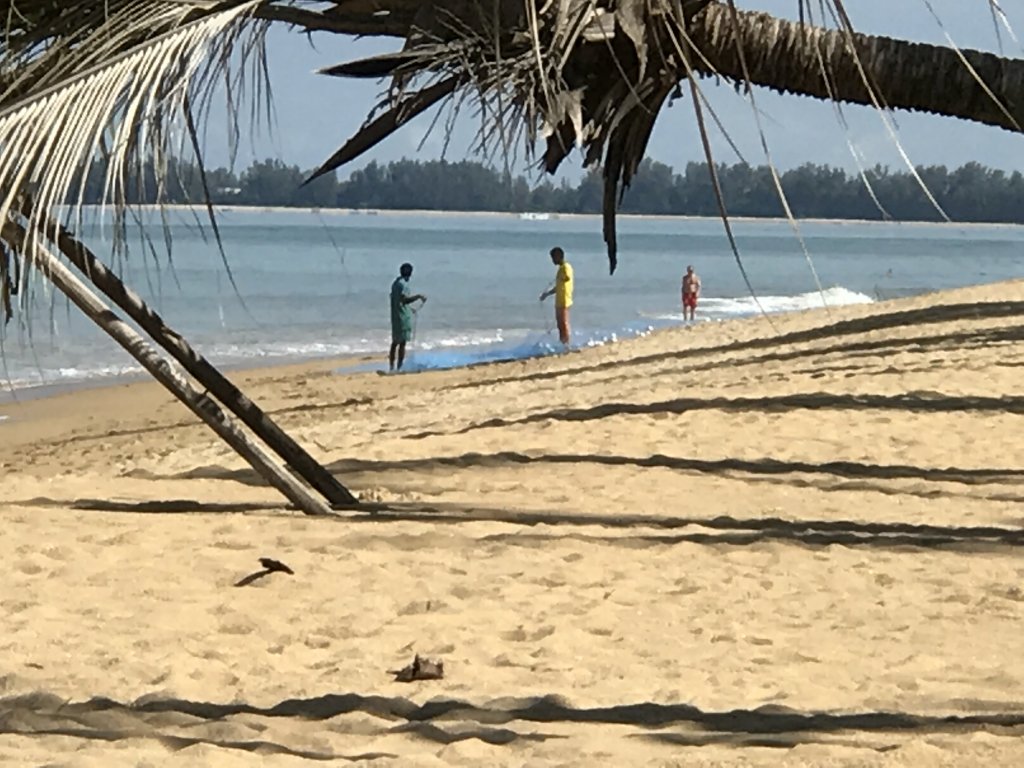 IMG_2741.JPG