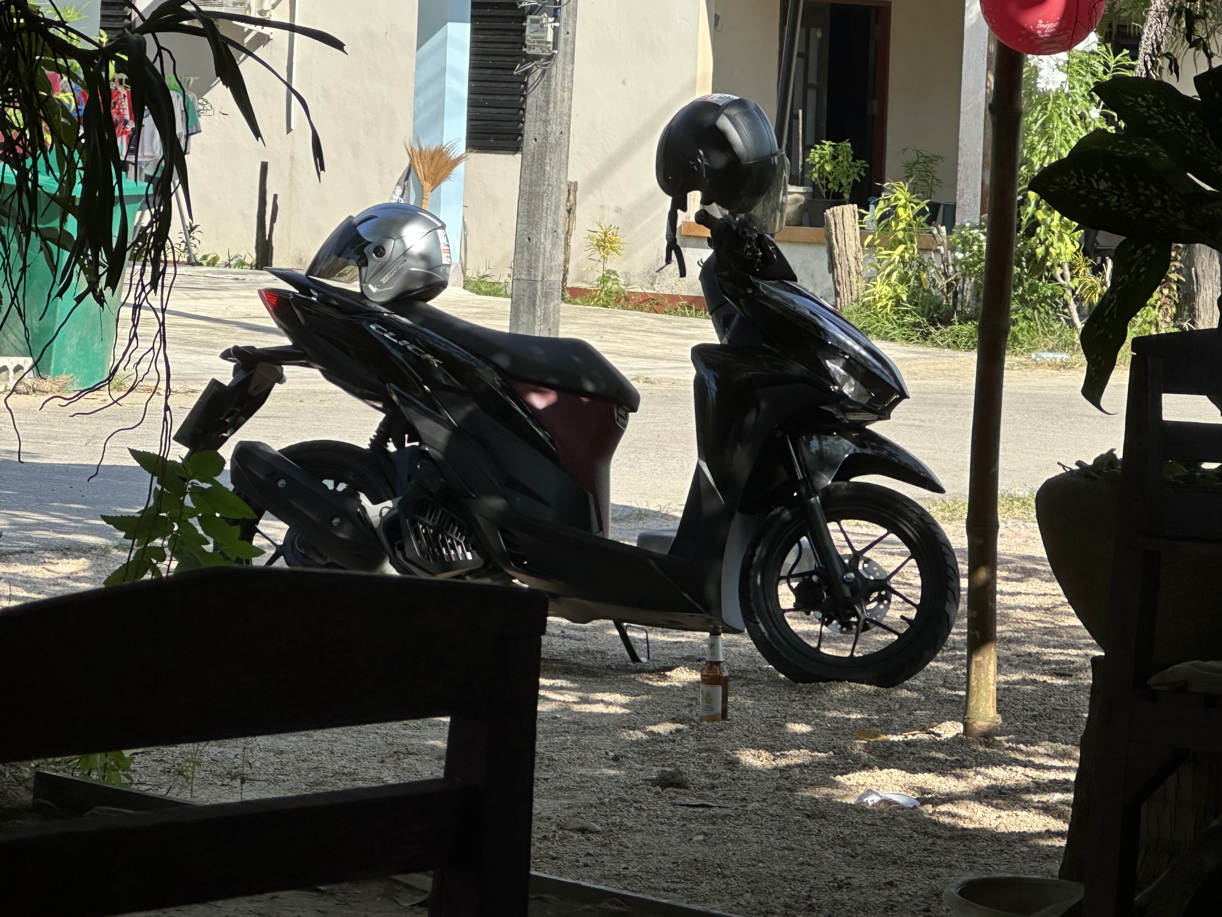 IMG_2806.jpeg