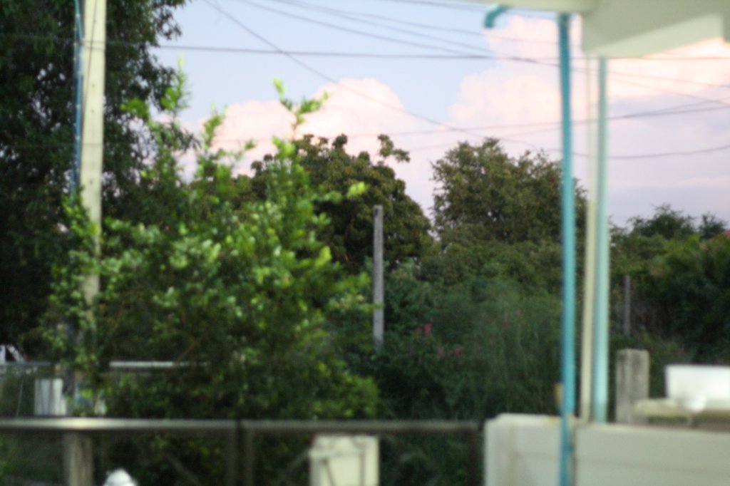 IMG_2890.JPG