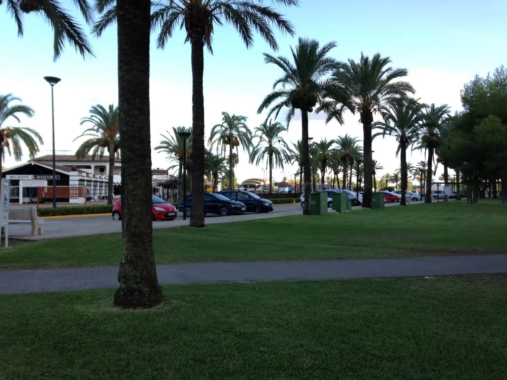 IMG_3070.webp IMG_3070.webp