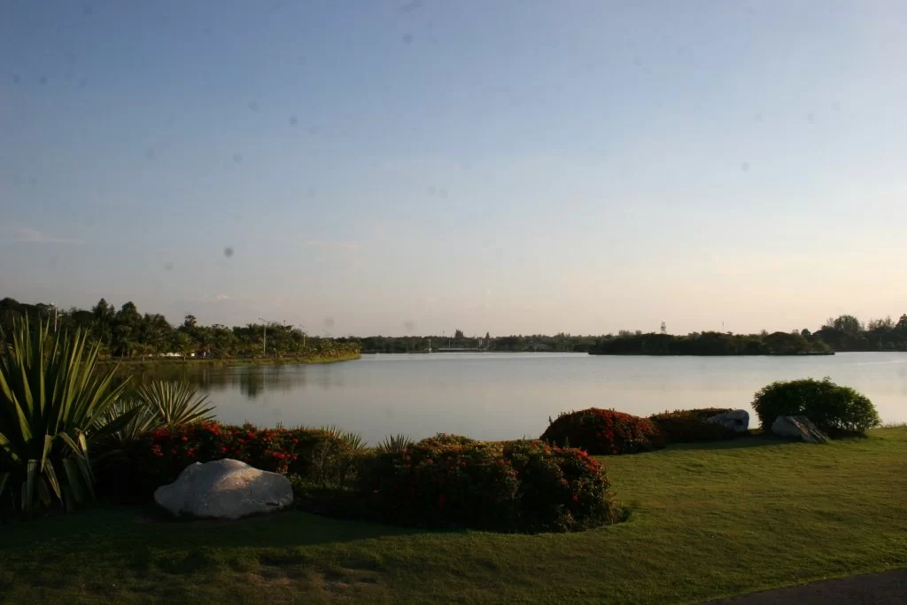 IMG_3554.webp