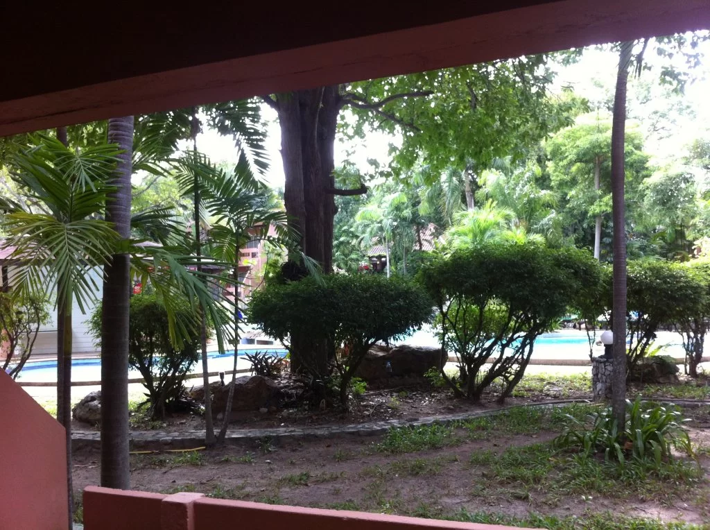 IMG_3643.webp IMG_3643.webp