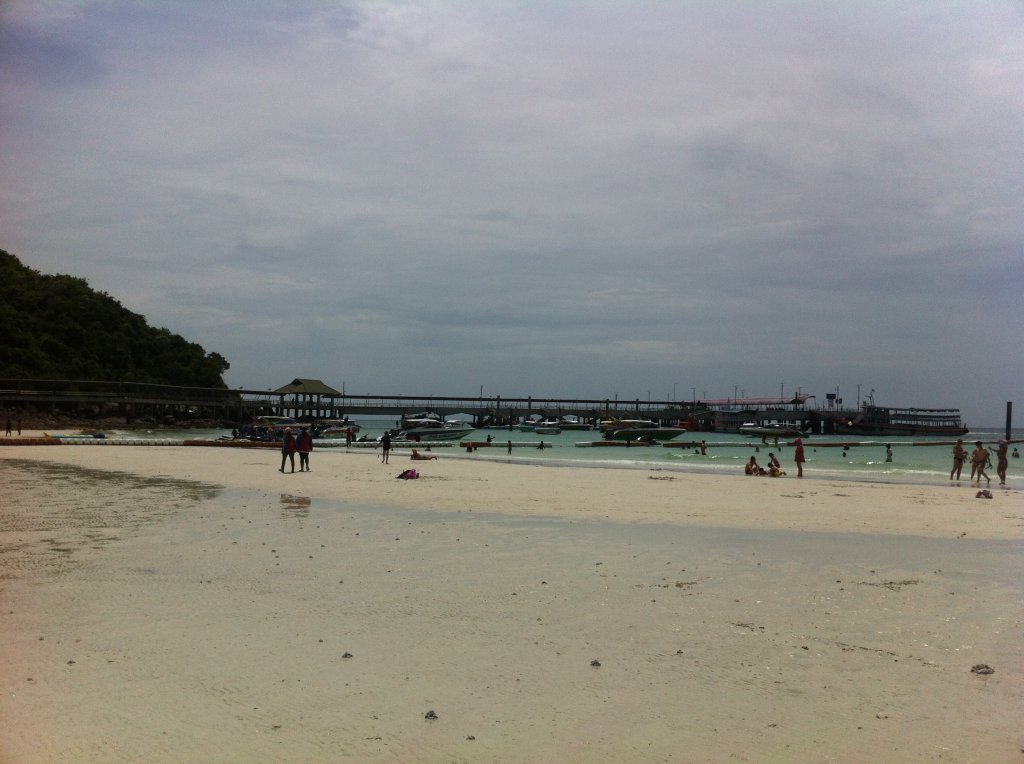 IMG_3768.JPG