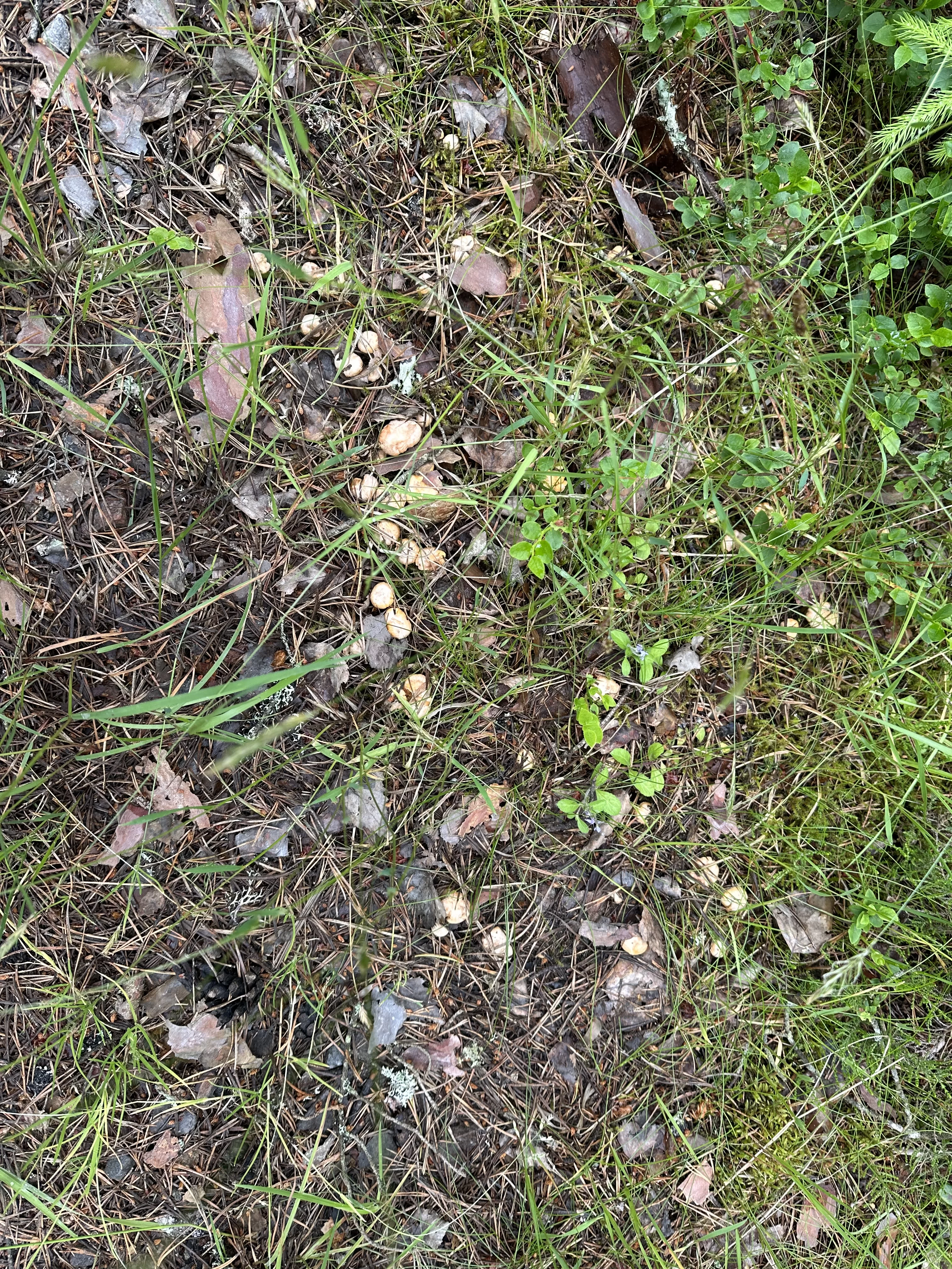 IMG_3859.webp