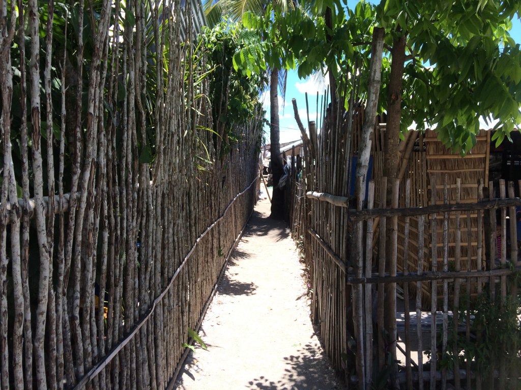 IMG_4870.JPG