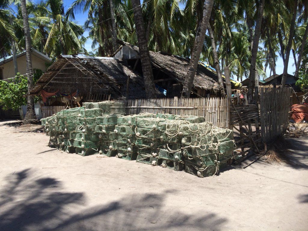 IMG_4888.JPG