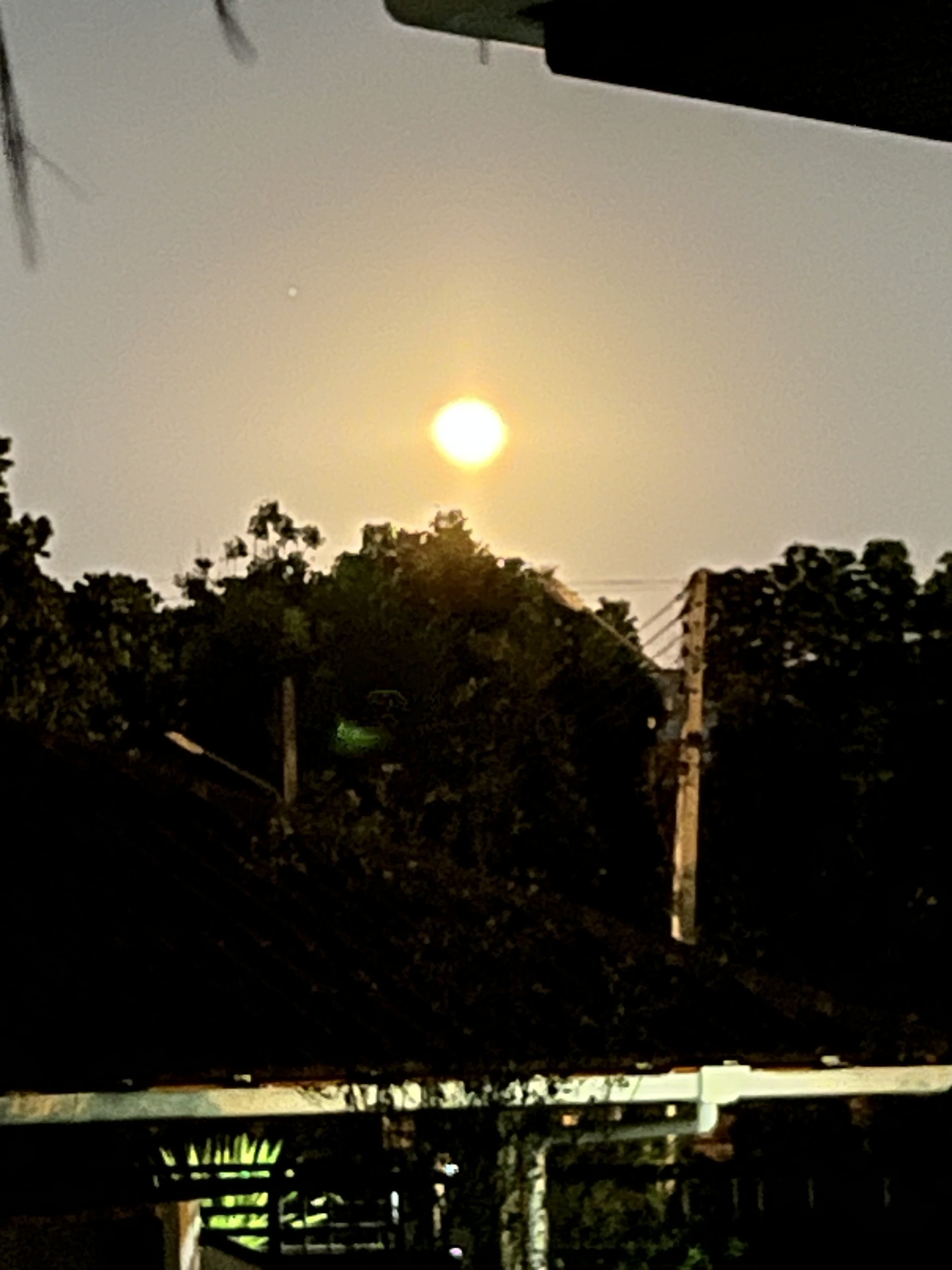 IMG_5637.jpeg