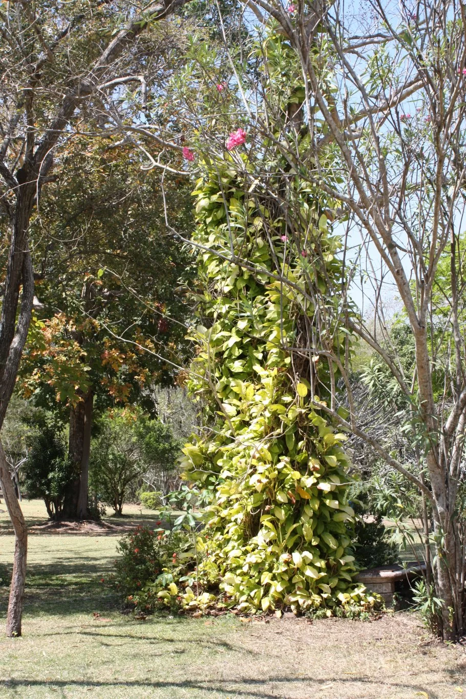 IMG_5900.webp