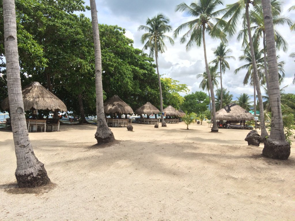 IMG_7765.JPG