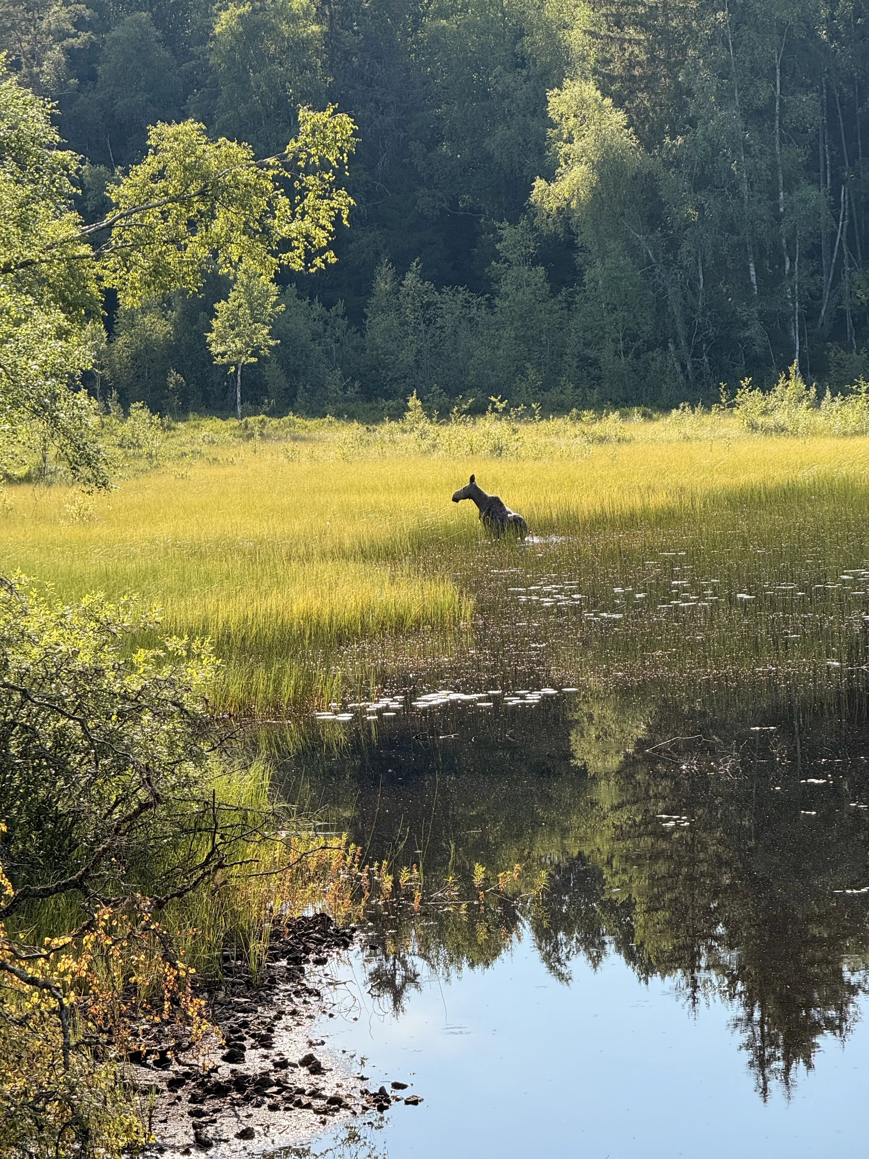 IMG_8422.webp