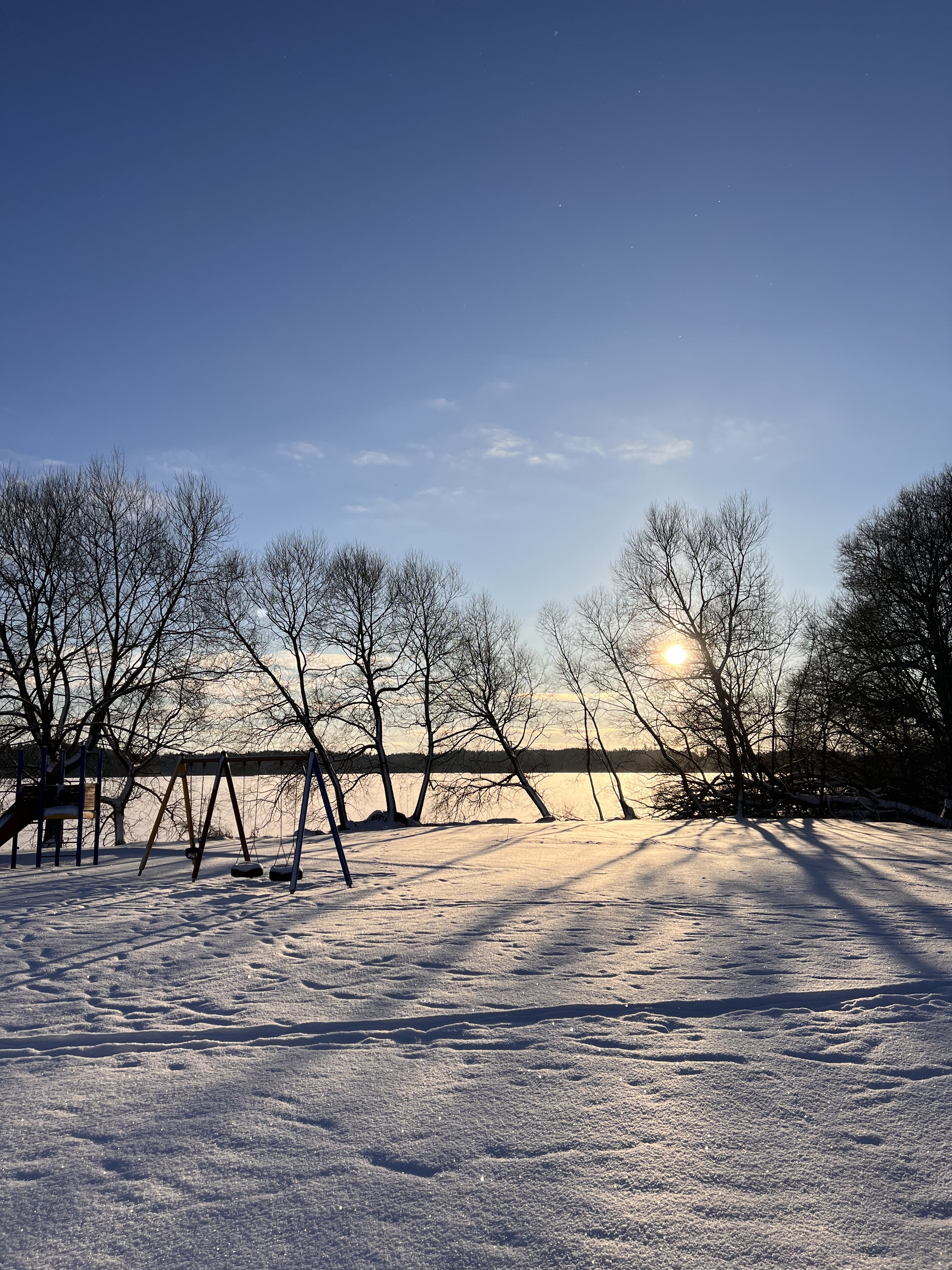 IMG_8509.jpeg