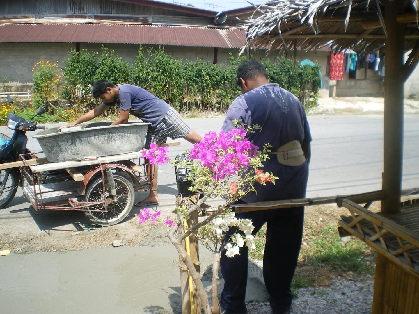 IMGP1356.webp