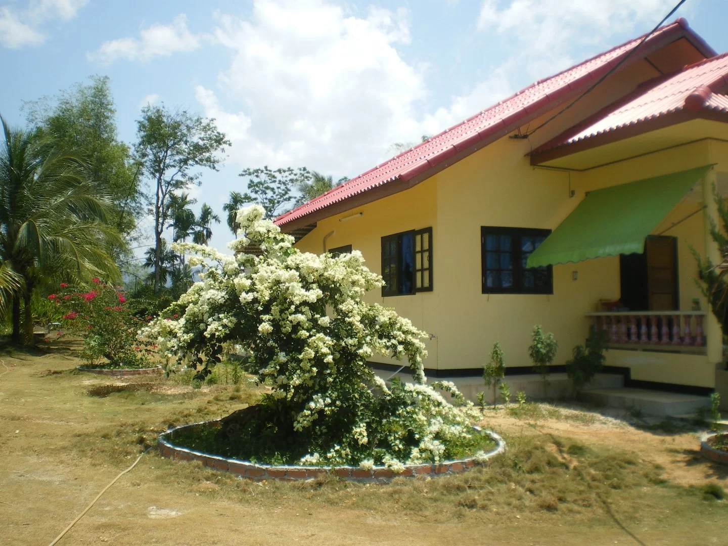 IMGP1524.webp