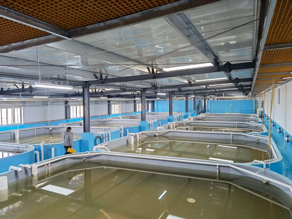Indoor-Shrimp-Farming-1-1024x768.jpg