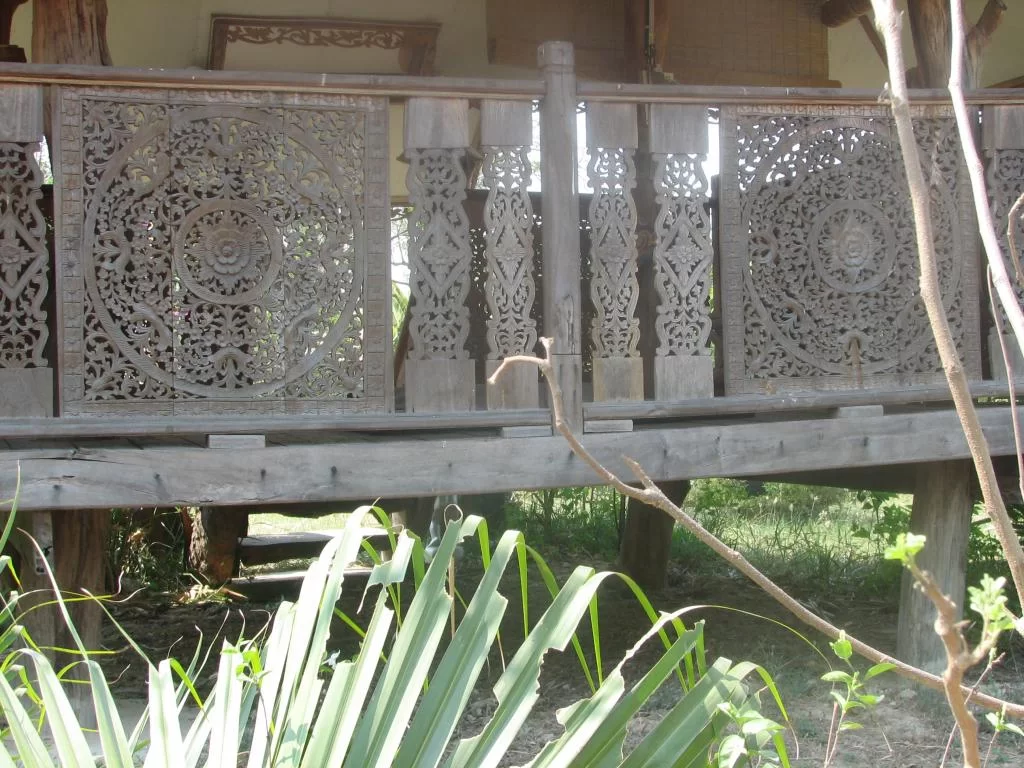 insekt, limofirma 003.webp