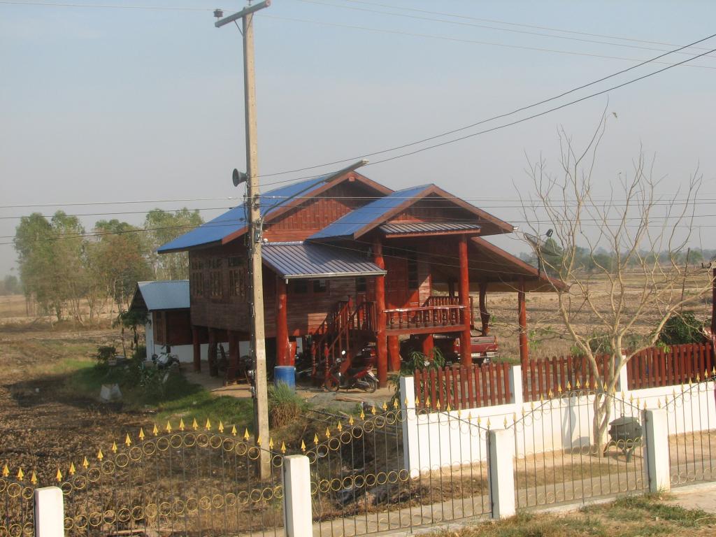 insekt, limofirma 061.jpg
