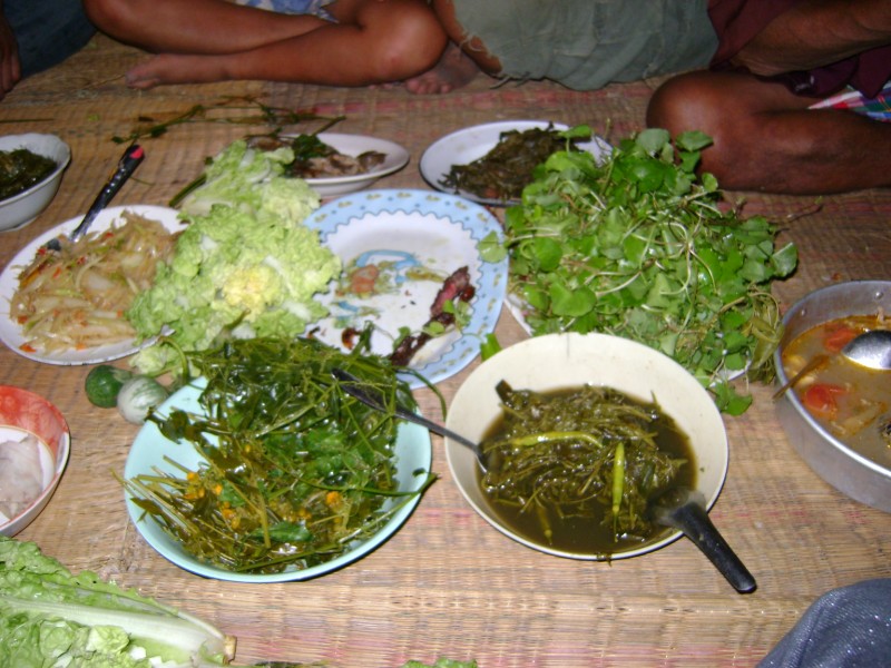 Isaan 027 [800x600].JPG