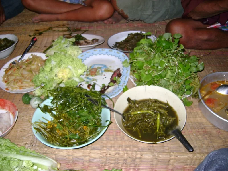 Isaan 027 [800x600].webp