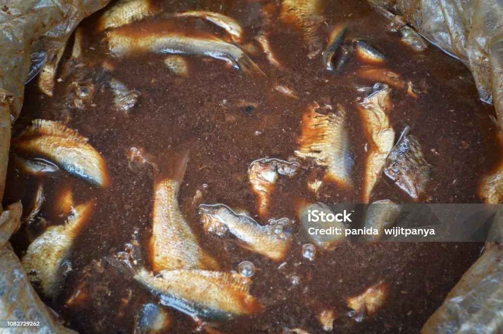 istockphoto-1082729262-1024x1024.webp
