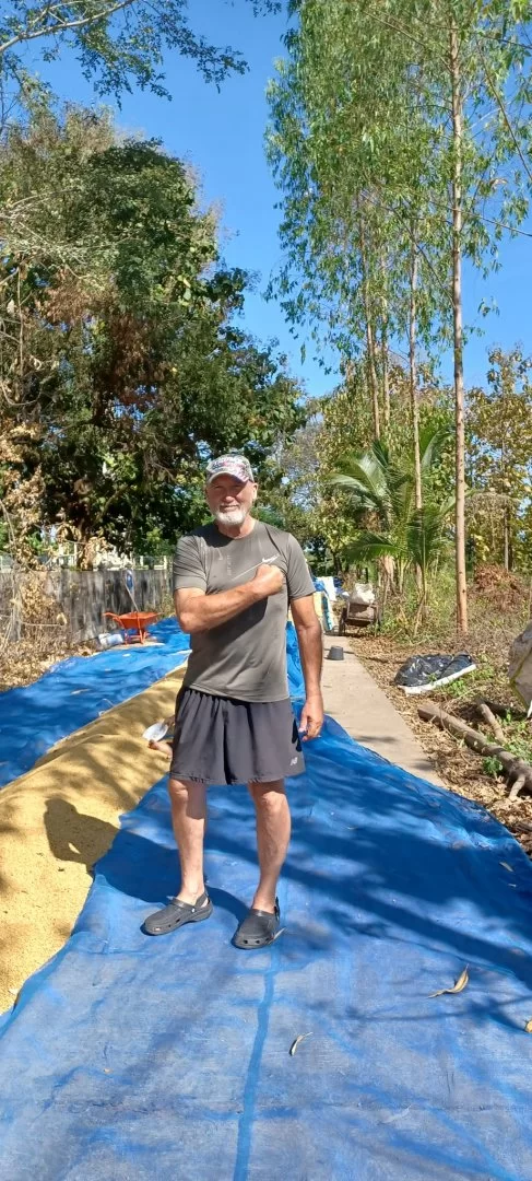 jag som trumpanhängare.webp