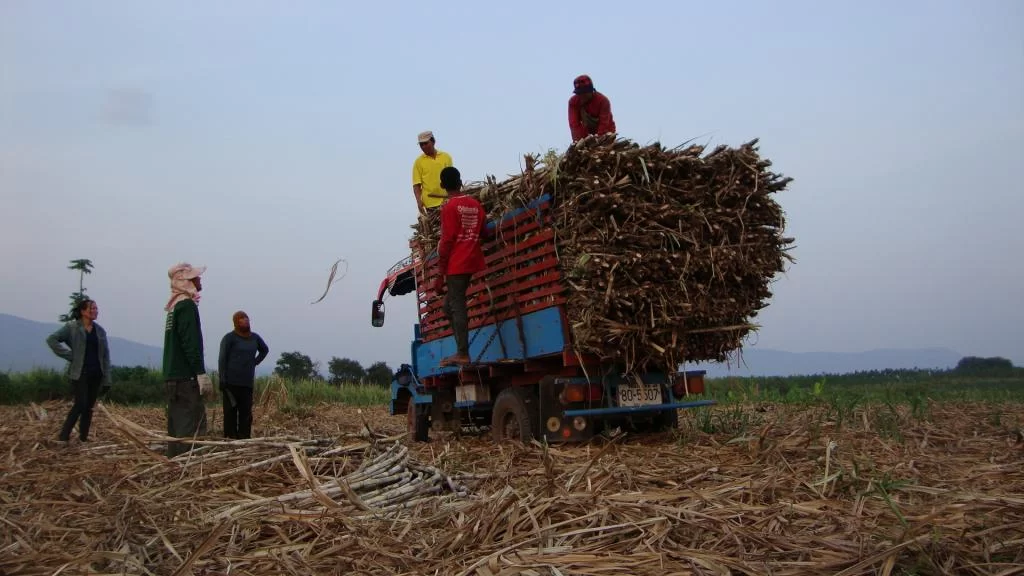 Jang Pictures 236.webp