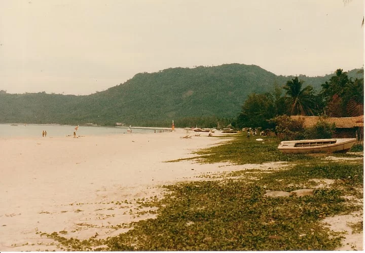JPEG Picture Deleted File 1146.webp