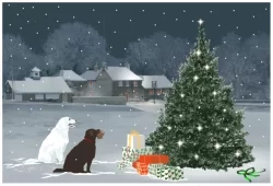 jul.webp
