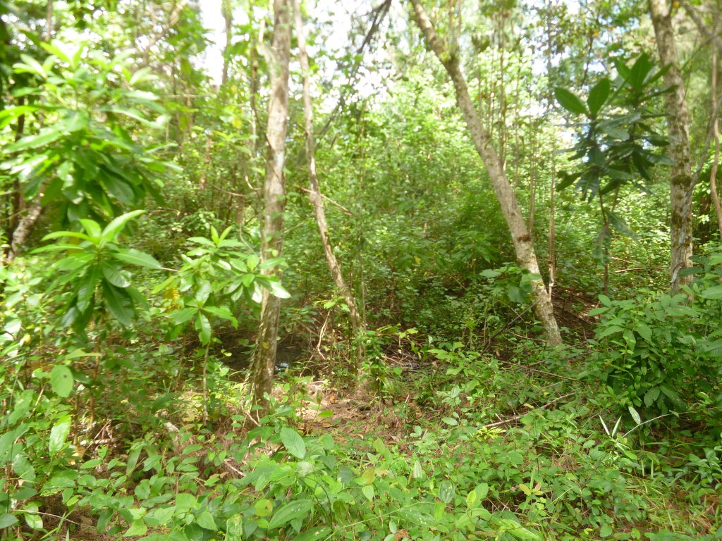 k 003.JPG