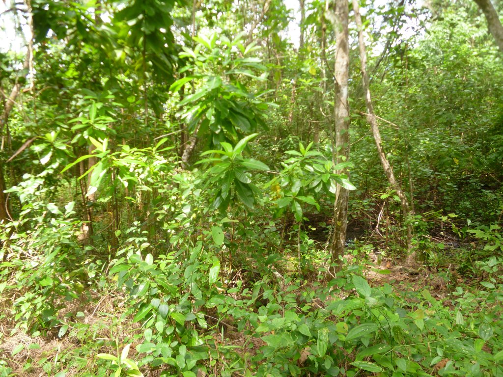 k 004.JPG