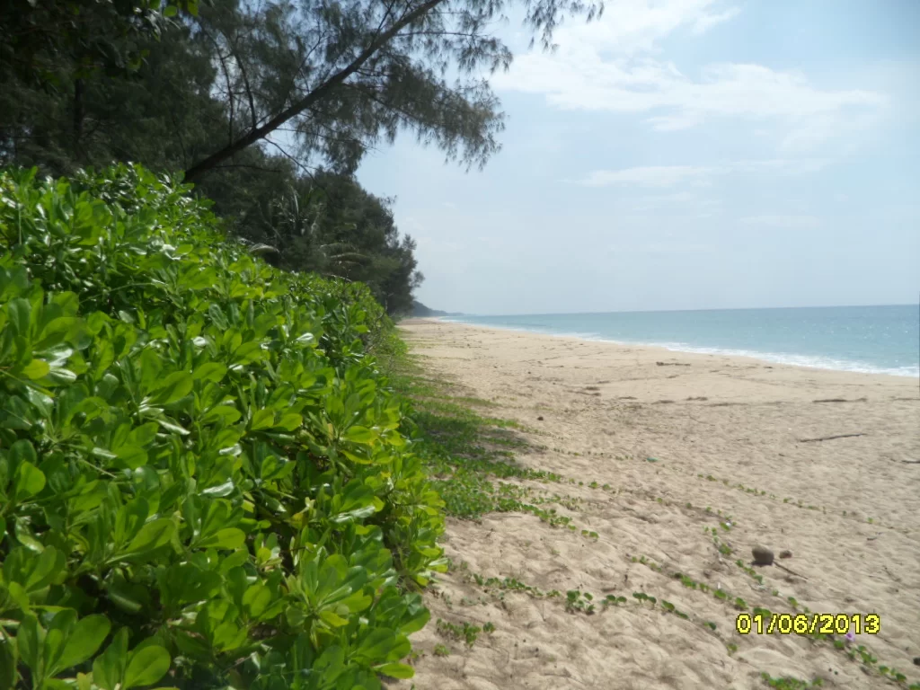 k 022.webp