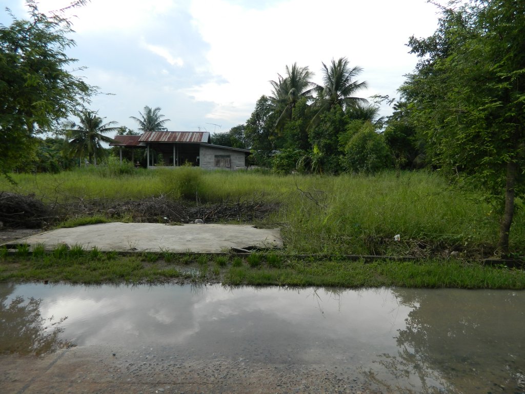 Koh Chang 2015 084.JPG