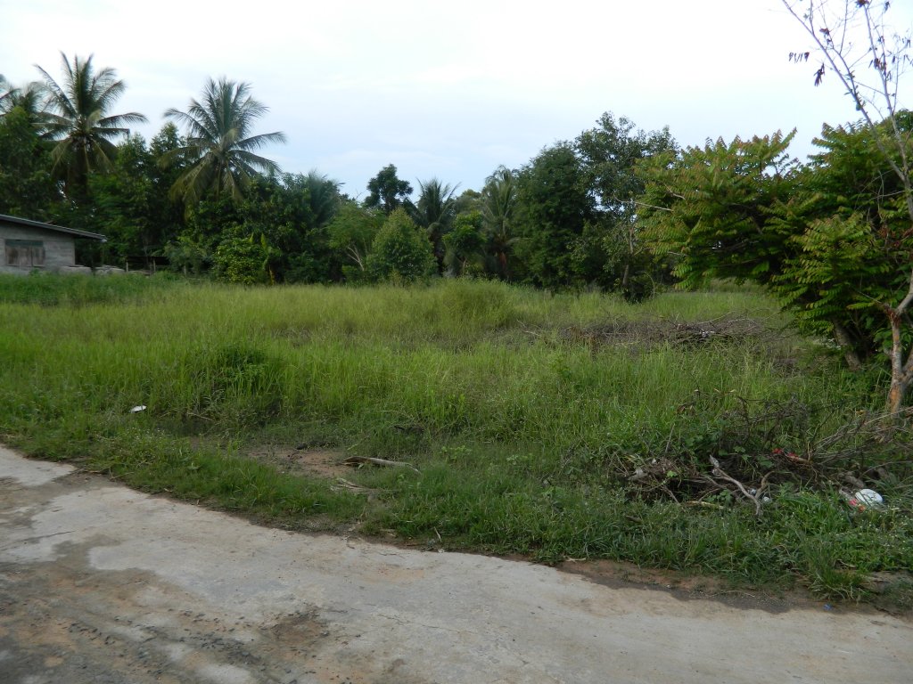 Koh Chang 2015 085.JPG