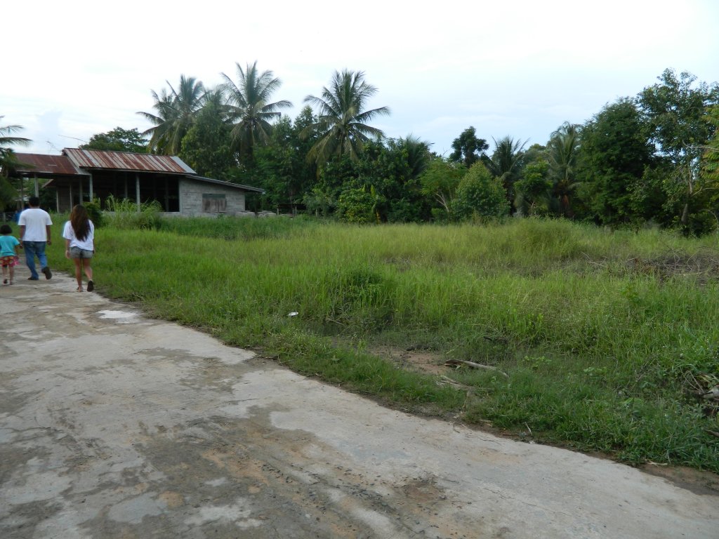 Koh Chang 2015 086.JPG