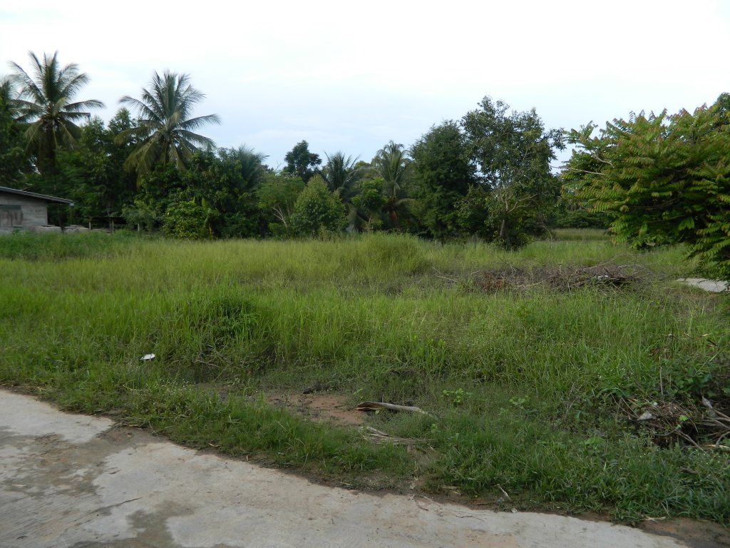 Koh Chang 2015 087.JPG